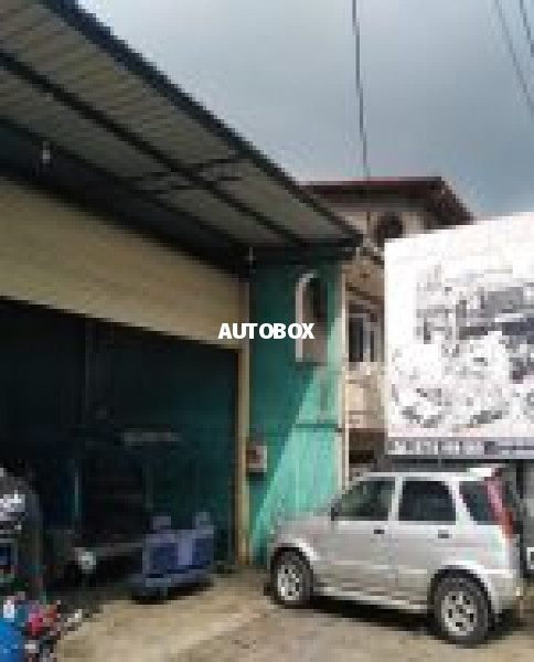Riyok automobile