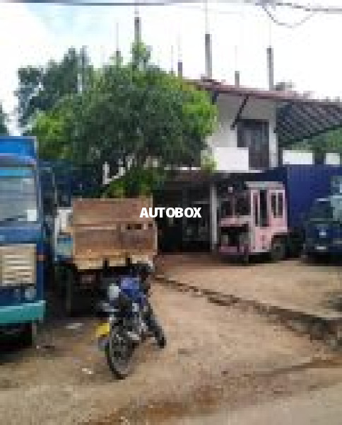 Anura motors