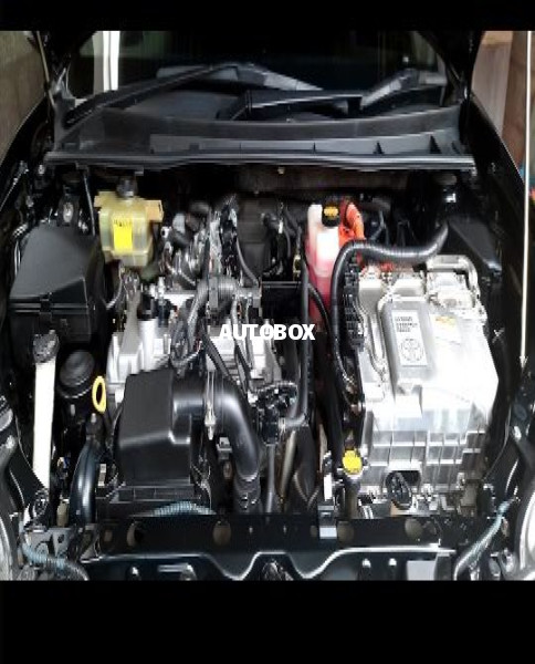 Rasika Motors