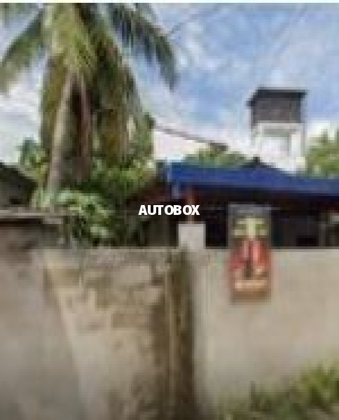 Nipuna Motors