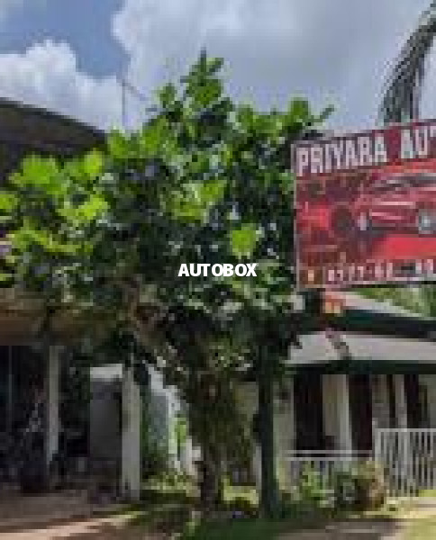 Priyara Automotive