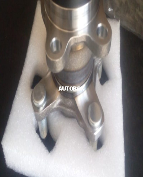 Wagon R 55 Rear Hub bearings
