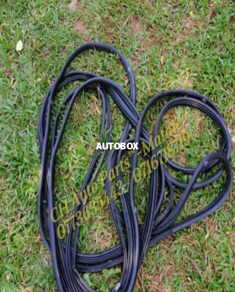 Nissan Sunny FB15 Door Beading