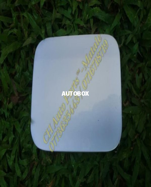 Nissan Sunny FB15 Fuel Gate