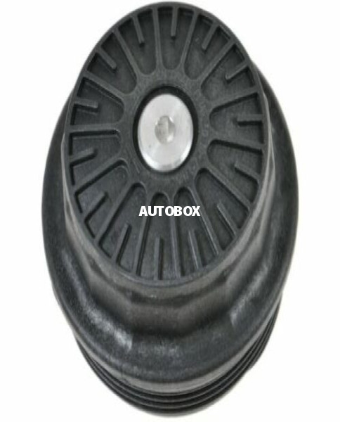Mazda swaraj oil filter cap